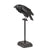 Large Crow on Perch Decor | Home Decor | boogie + birdie