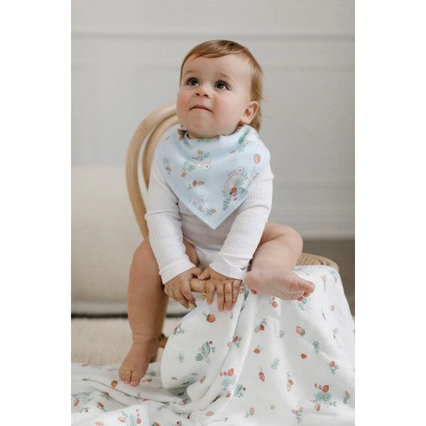 Some Bunny Loves You Bandana Bib Set