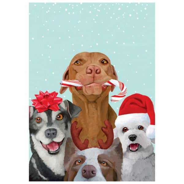 Dogs Christmas Card | Holiday Cards | boogie + birdie