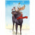 Moose with Scarf Holiday Card | Allport Editions | boogie + birdie