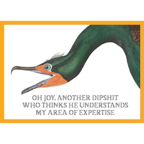 Greetings from Effin' Birds Postcards | Set of 100 | Raincoast | boogie + birdie