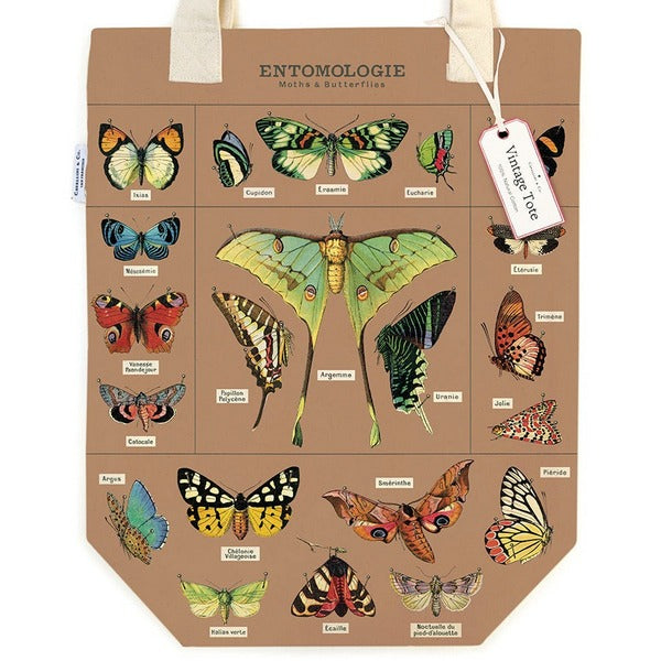 Entomology Tote Bag | Cavallini & Co | boogie + birdie

