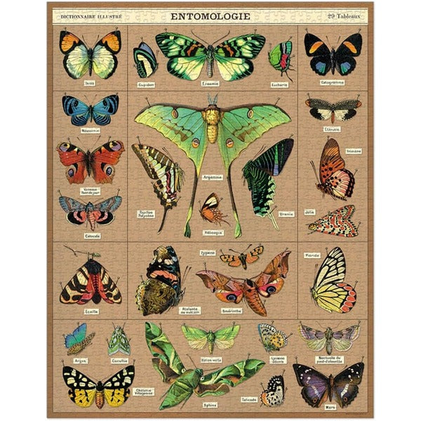 Entomology 1000 Piece Puzzle | Cavallini & Co. | boogie + birdie

