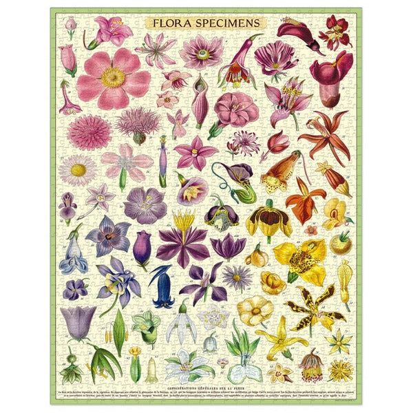 Flora Specimens 1000 Piece Puzzle | Cavallini & Co. | boogie + birdie

