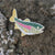 Rainbow Trout Enamel Pin | Crystal Driedger | boogie + birdie