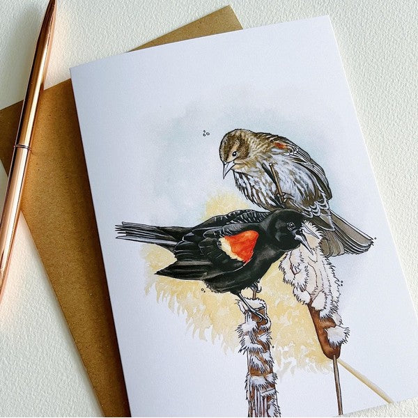 Red Winged Blackbird Card | Kelly Dixon Art | boogie + birdie