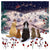 A Winters Tale 8 Boxed Cards