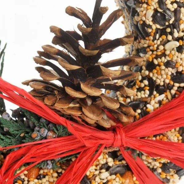 Wild Feast Bird Seed Wreath with Bow & Pine | Mr. Bird | boogie + birdie